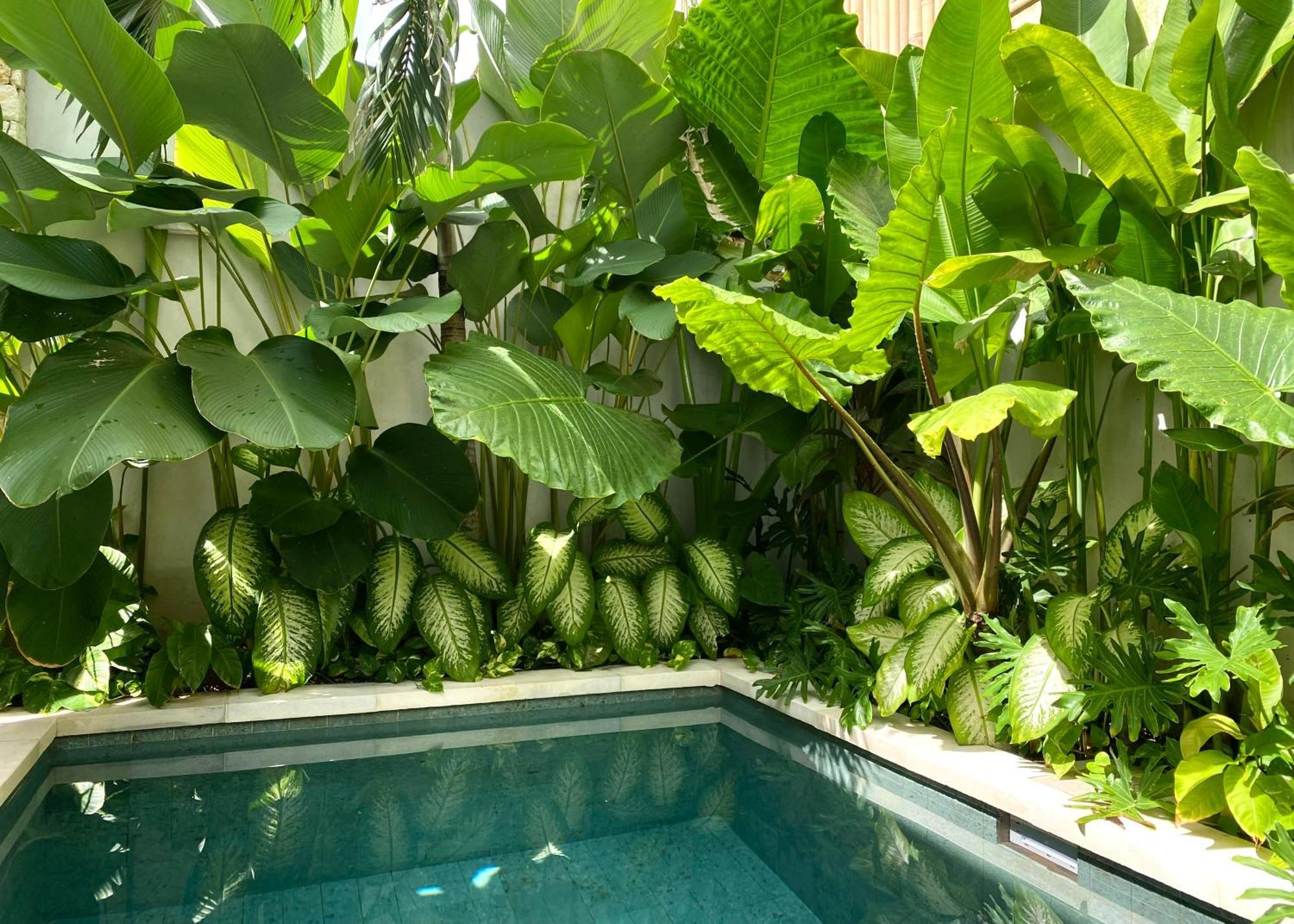 Alma Bingin Boutique Hotel Uluwatu  Bagian luar foto